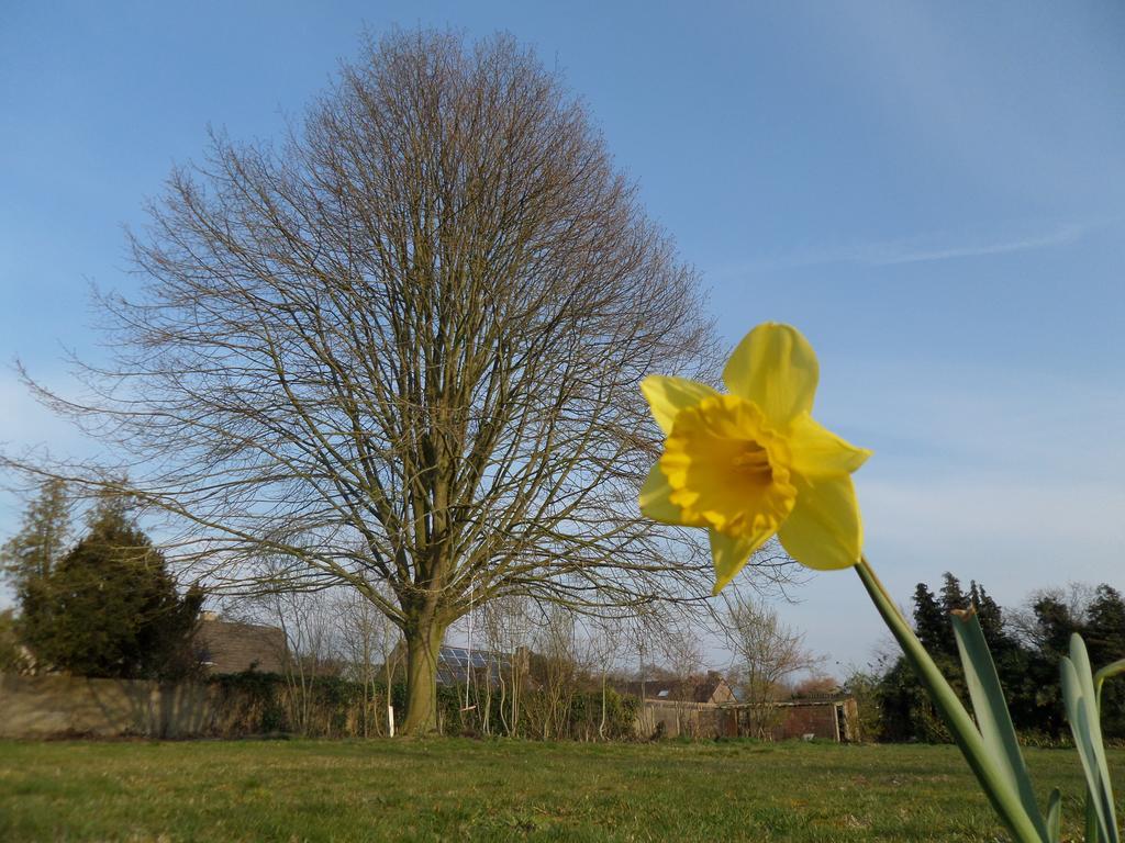 Villa Bijenhof Varsenare Pokoj fotografie