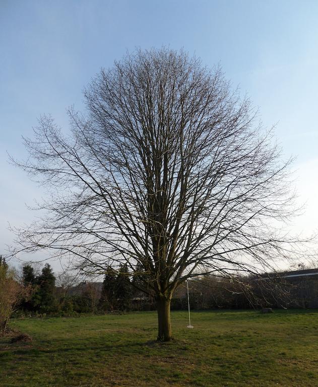 Villa Bijenhof Varsenare Pokoj fotografie